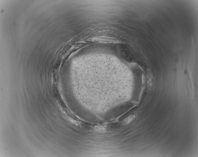 X0000051860574200507151823