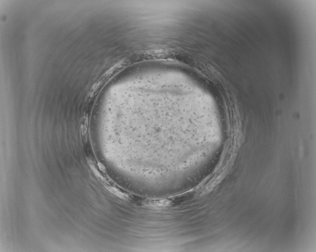 X0000051860576200507151823