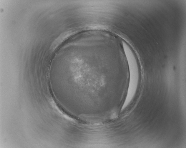 X0000051860577200507151823