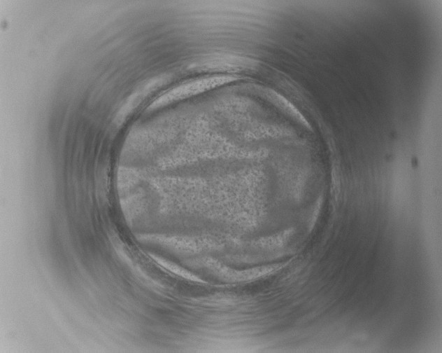 X0000051860578200507151823