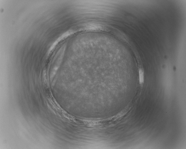 X0000051860579200507151823