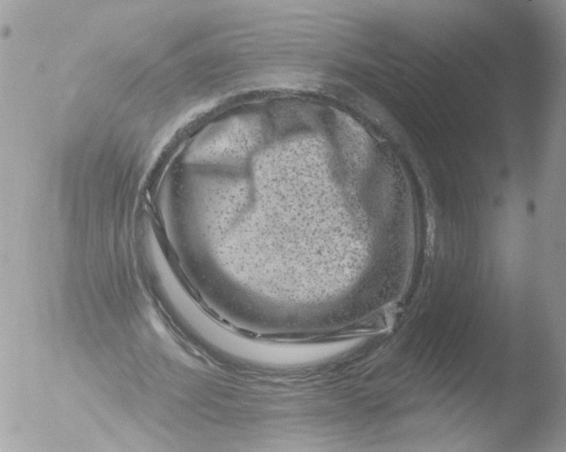 X0000051860580200507151823