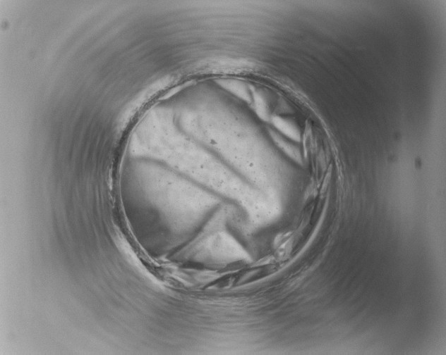 X0000051860581200507151823