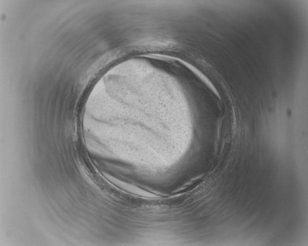 X0000051860582200507151822