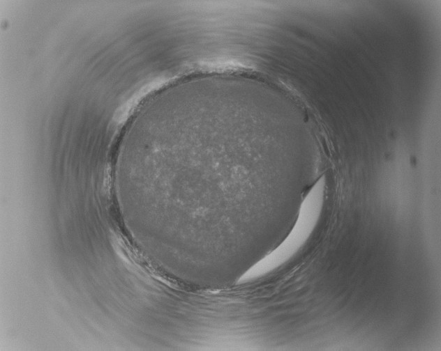 X0000051860583200507151822