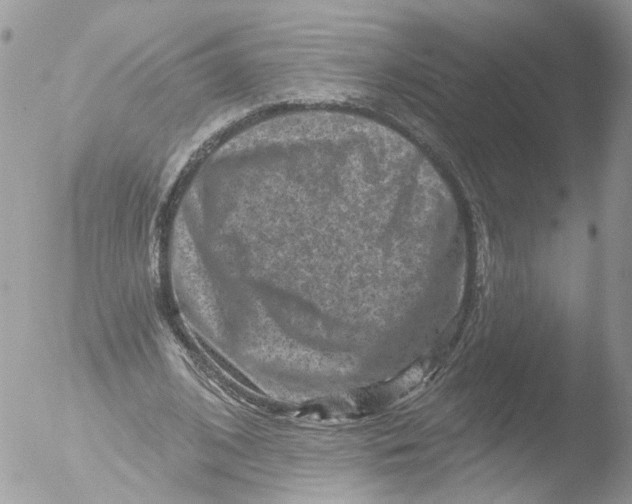 X0000051860584200507151822