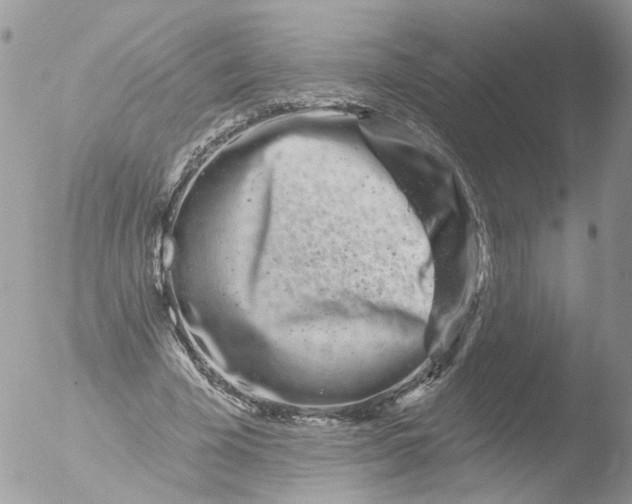 X0000051860585200507151822