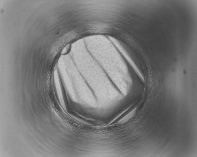 X0000051860586200507151822