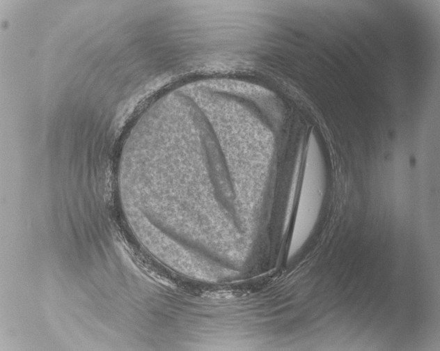 X0000051860588200507151822