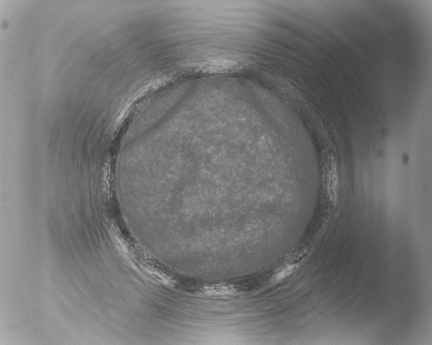 X0000051860591200507151822