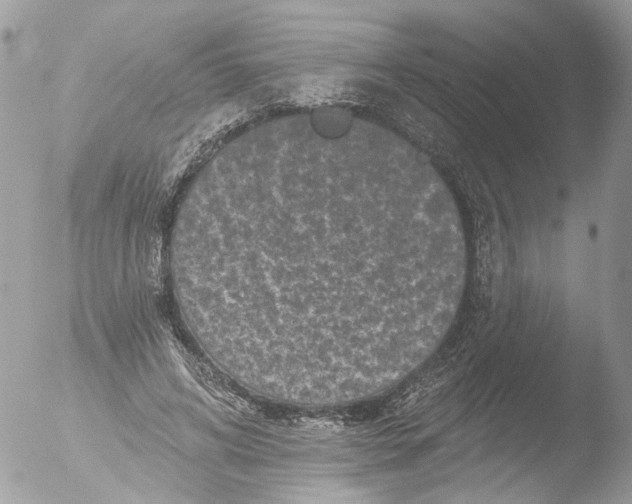 X0000051860592200507151822