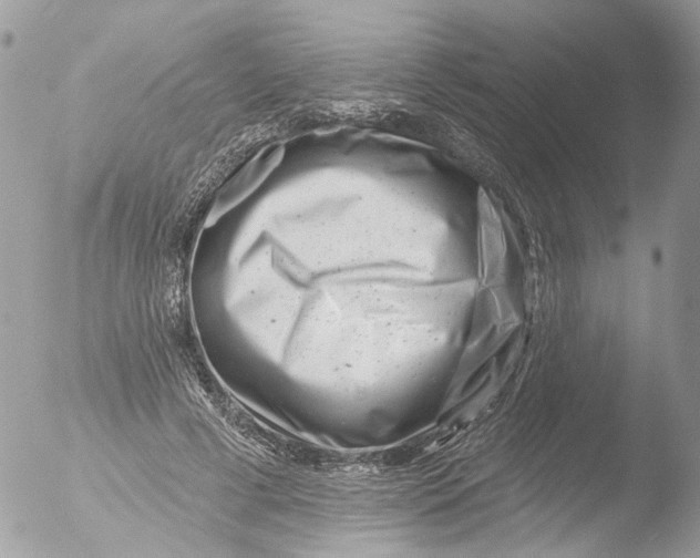 X0000051860593200507151822