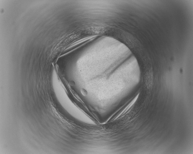 X0000051860594200507151822