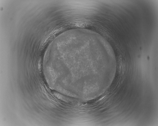 X0000051860595200507151822