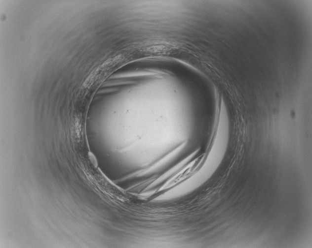 X0000051860597200507151822