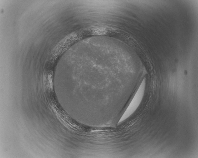 X0000051860598200507151822