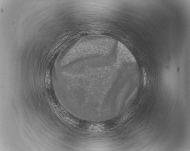 X0000051860599200507151822