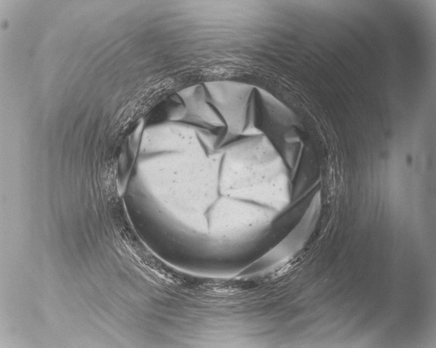 X0000051860601200507151822