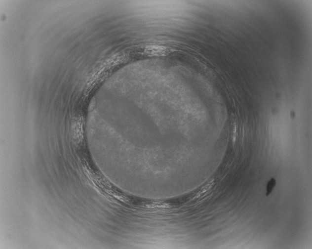 X0000051860603200507151822