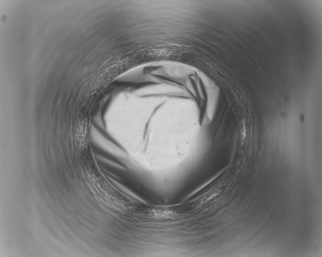 X0000051860605200507151822