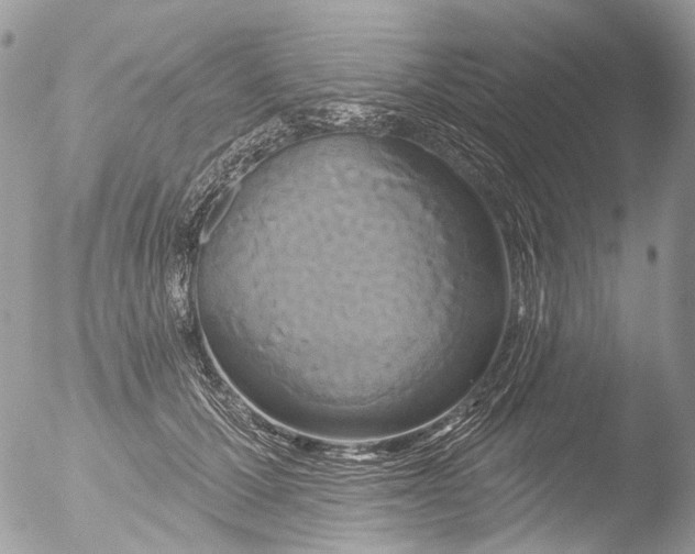 X0000051860607200507151822