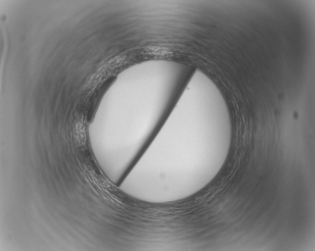 X0000051860609200507151822