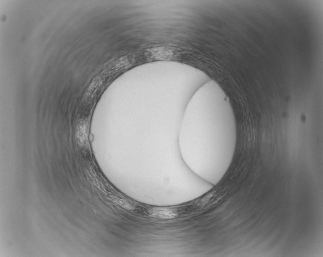 X0000051860610200507151822