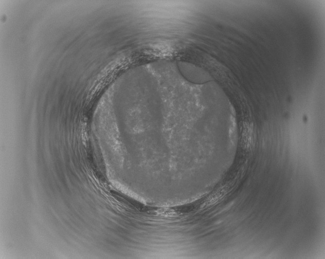 X0000051860612200507151822