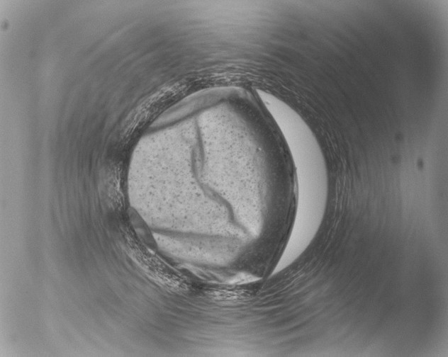 X0000051860615200507151822