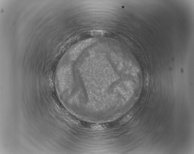 X0000051860616200507151822