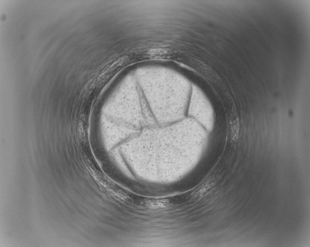 X0000051860618200507151822