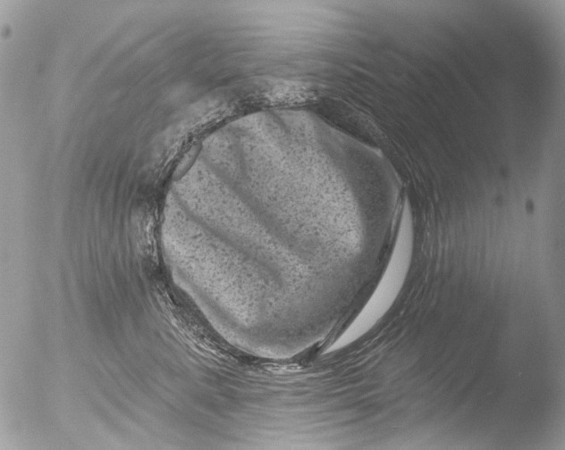 X0000051860619200507151822