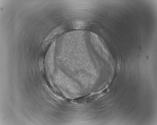 X0000051860620200507151822