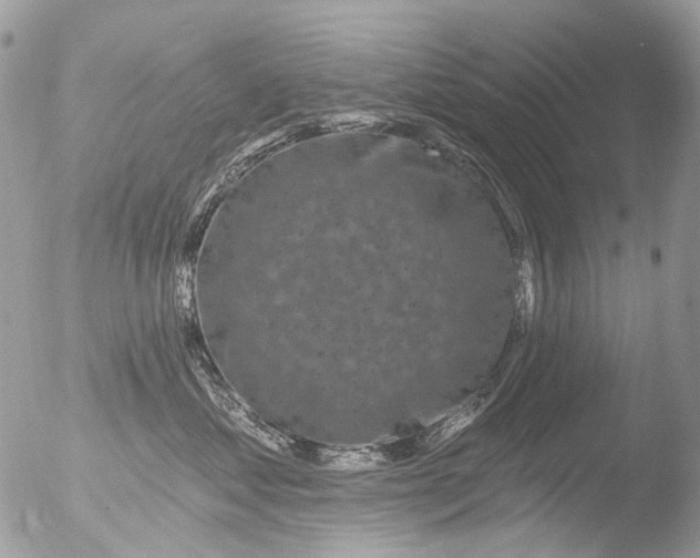 X0000051860621200507151822