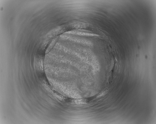 X0000051860622200507151822