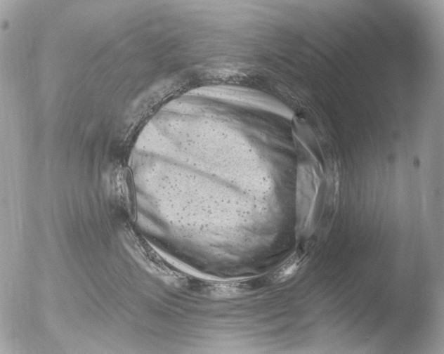 X0000051860623200507151822