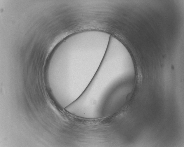 X0000051860626200507151821