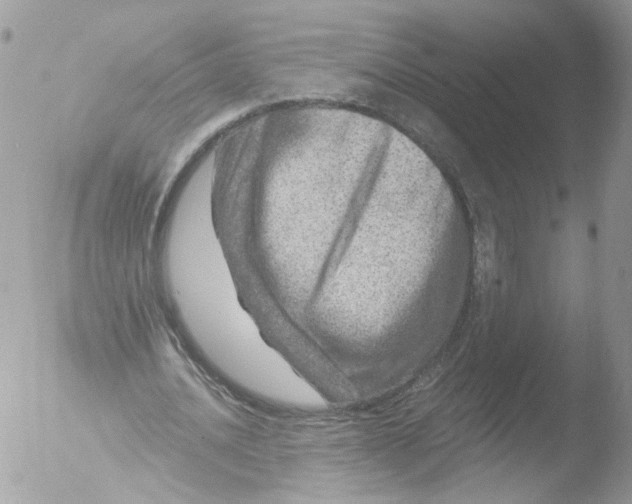 X0000051860628200507151821