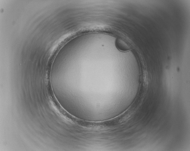 X0000051860629200507151821