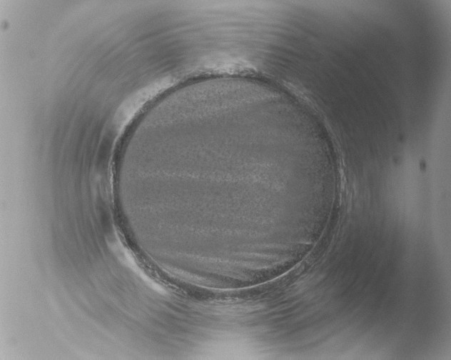 X0000051860630200507151821