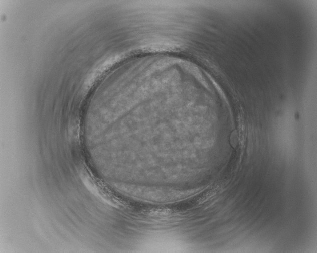 X0000051860631200507151821