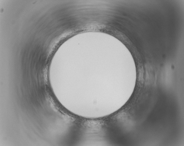 X0000051860632200507151821