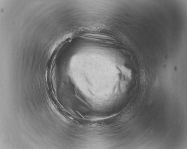 X0000051860634200507151821