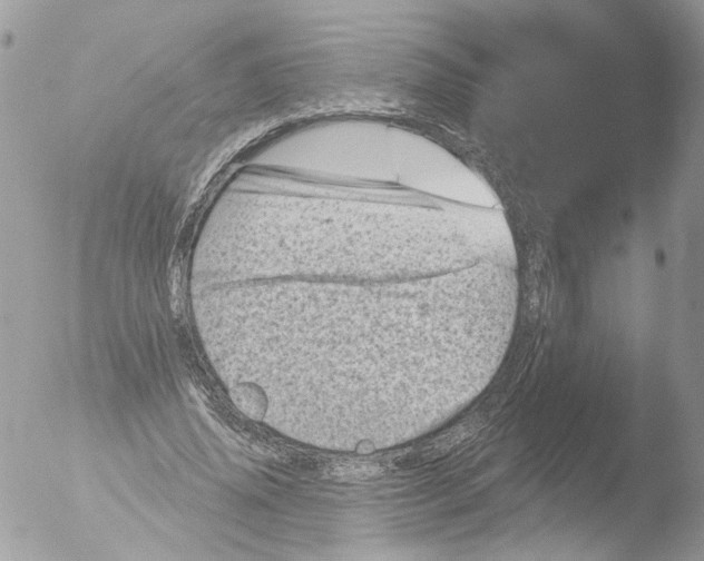 X0000051860636200507151821