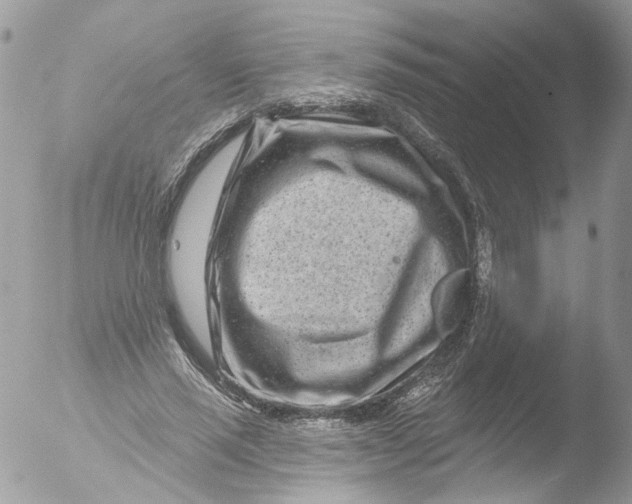 X0000051860637200507151821