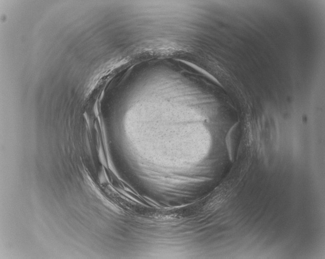 X0000051860638200507151821