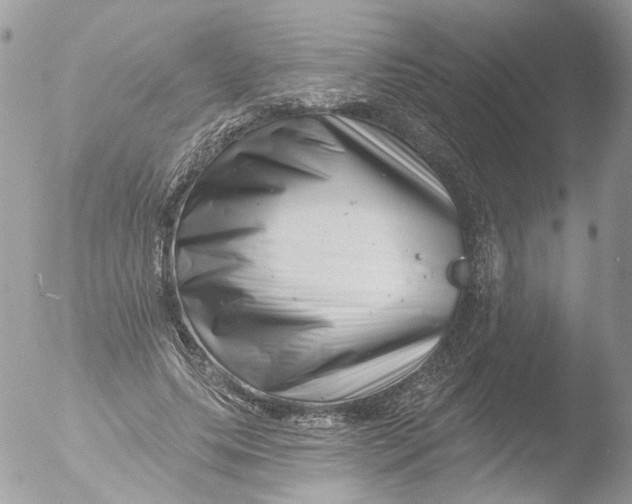 X0000051860639200507151821