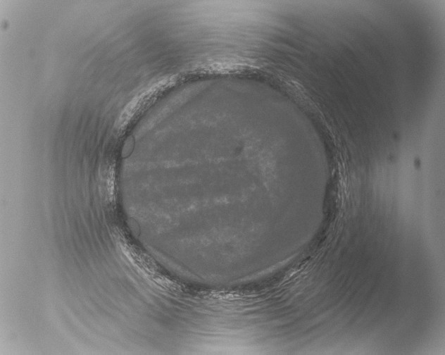 X0000051860640200507151821