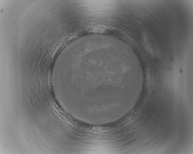 X0000051860641200507151821