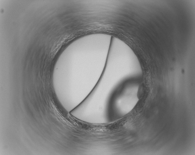 X0000051860642200507151821